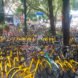 China, bike share, bike sharing, bike, bikes, bicycle, bicycles, Shanghai