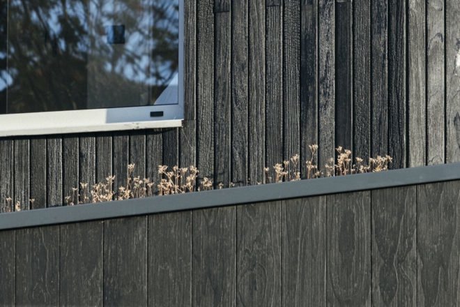 sedum green roof and charred timber exterior