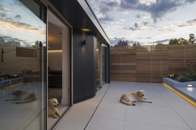 One dog lies in the sliding glass doorway, while another lies outside