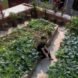 H&P Architects, Brick Cave, brick home, brick building, brick architecture, green roof