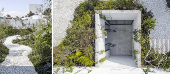 Case Verne by Zeller & Moye, native rooftop garden in Mexico City, Casa Verne Mexico City, renovated Art Deco townhouse, Mexico City townhouse renovation, cut marble pebble flooring, rooftop oasis in Mexico City