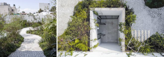 Case Verne by Zeller & Moye, native rooftop garden in Mexico City, Casa Verne Mexico City, renovated Art Deco townhouse, Mexico City townhouse renovation, cut marble pebble flooring, rooftop oasis in Mexico City