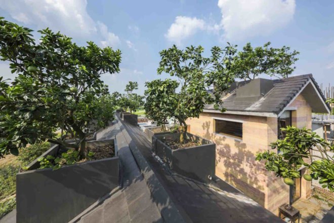 Dong Anh House by Vo Trong Nghia Architects, Dong Anh House in Hanoi, Dong Anh House in Vietnam, rammed earth modern architecture, rammed earth architecture in Hanoi, rammed earth housing in Vietnam, contemporary rammed earth house, fruit trees on a roof,