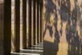 Dong Anh House by Vo Trong Nghia Architects, Dong Anh House in Hanoi, Dong Anh House in Vietnam, rammed earth modern architecture, rammed earth architecture in Hanoi, rammed earth housing in Vietnam, contemporary rammed earth house, fruit trees on a roof,