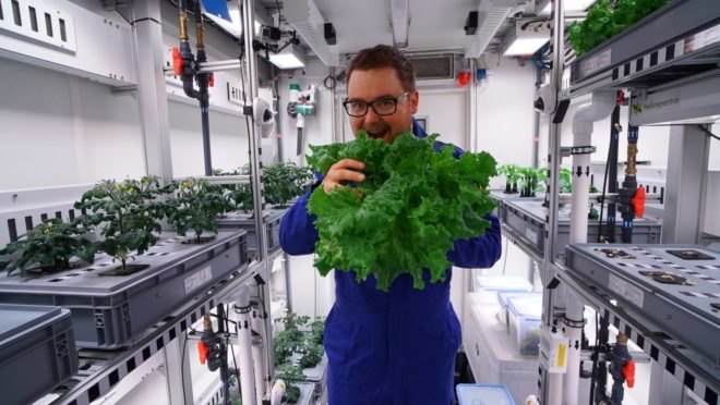 EDEN-ISS, Paul Zabel, Antarctica, produce, salad, lettuce
