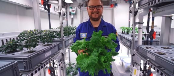 EDEN-ISS, Paul Zabel, Antarctica, produce, salad, lettuce