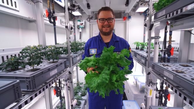 EDEN-ISS, Paul Zabel, Antarctica, produce, salad, lettuce