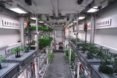 EDEN-ISS, indoor garden, indoor farming, plants, produce, agriculture, crops