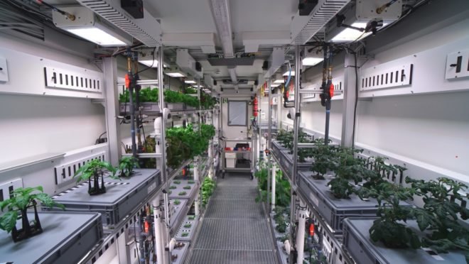EDEN-ISS, indoor garden, indoor farming, plants, produce, agriculture, crops