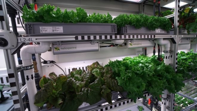 EDEN-ISS, indoor garden, indoor farming, plants, produce, agriculture, crops