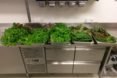 EDEN-ISS, indoor garden, indoor farming, plants, produce, agriculture, crops, salad