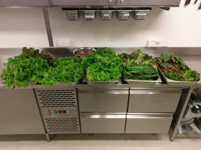EDEN-ISS, indoor garden, indoor farming, plants, produce, agriculture, crops, salad