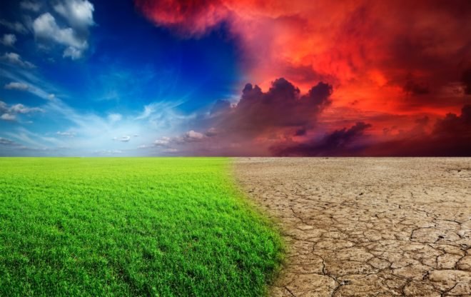 Global warming, climate change, ecology, desert, grass, storm