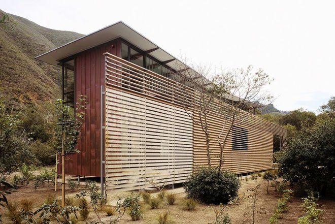 The home is surrounded by plants