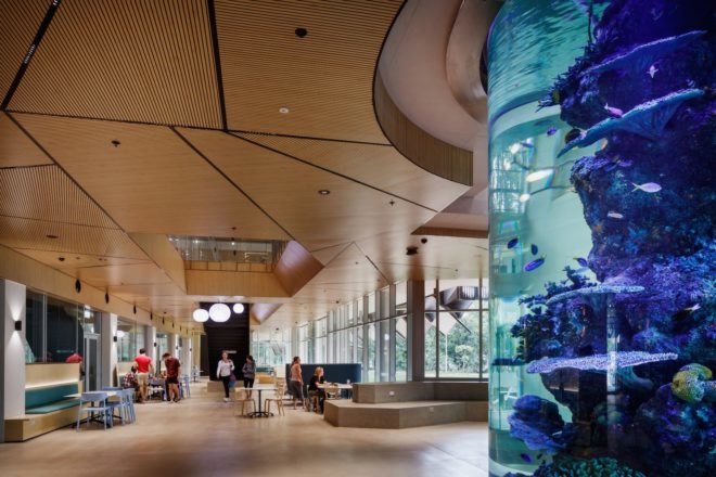 Interior view James Cook University The Science Place by HASSELL