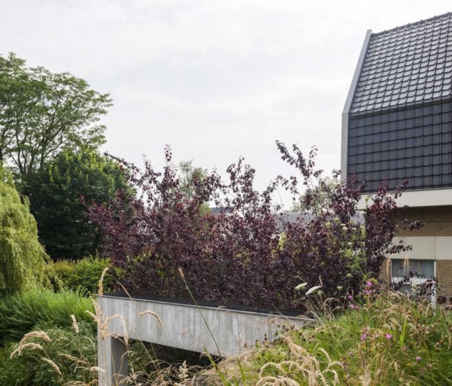 MILU by Qatarchitecten, green roof concrete extension, MILU house in Ghent, Ghent renovation and extension, board formed concrete extension, board formed concrete structural walls, operable glass garden backyard doors,