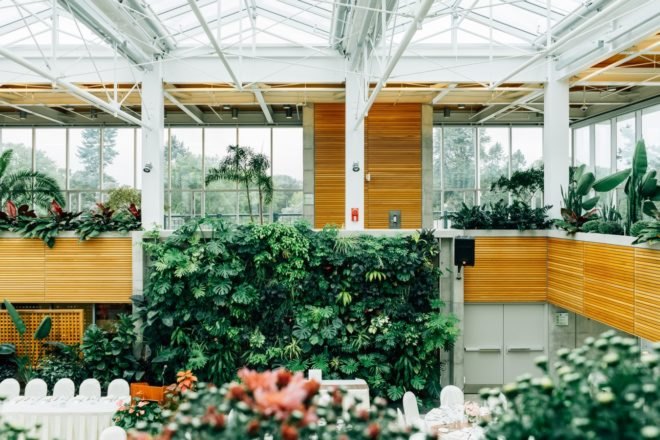 A large office filled with greenery, including a live plant wall.
