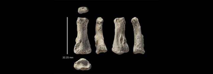 fossil, human fossils, Homo sapiens fossils, Homo sapiens migration, Out of Africa migration, when did humans migrate out of Africa, where did humans migrate out of Africa, archaeology, journal Nature, human migration, Homo sapiens migrations