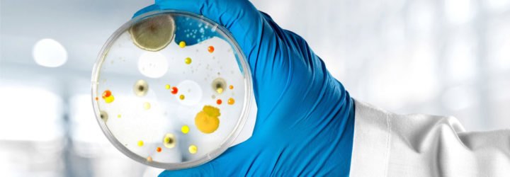 carbapenem-resistant Enterobacteriaceae, CRE bacteria, CDC, ARLN, Antibiotic Resistance Laboratory Network, antibiotic resistance, antibiotic resistant bacteria, bacteria, deadly bacteria, nightmare bacteria