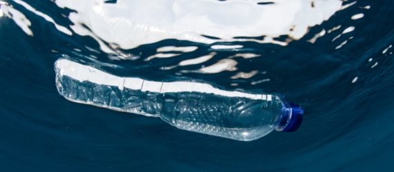 Plastic bottle, Pacific Ocean, water bottle, plastic, water, litter, pollution