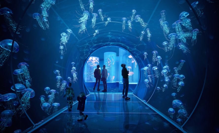 Jellyfish tunnel Poseidon’s Realm by 3XN and GERNER GERNER PLUS