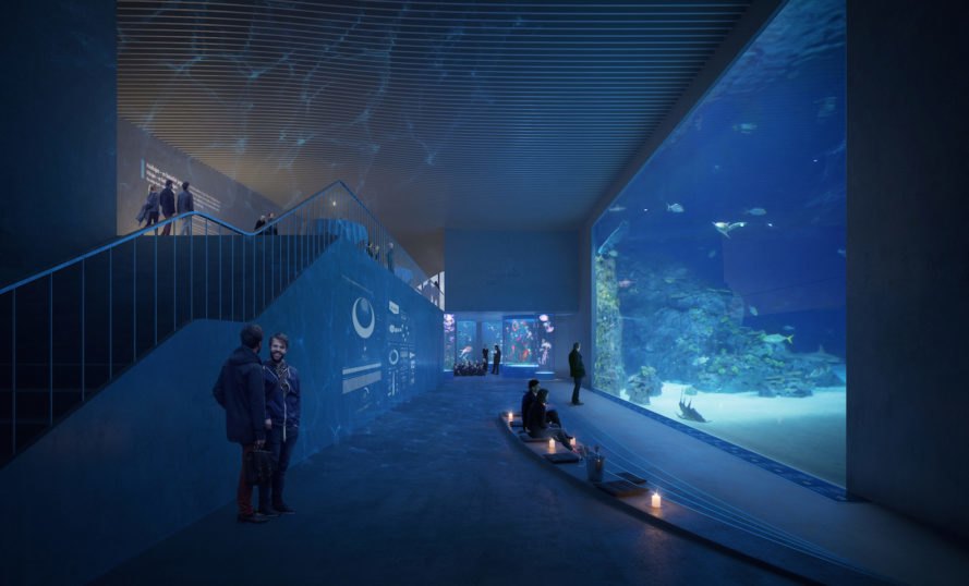 Shark tank Poseidon’s Realm by 3XN and GERNER GERNER PLUS