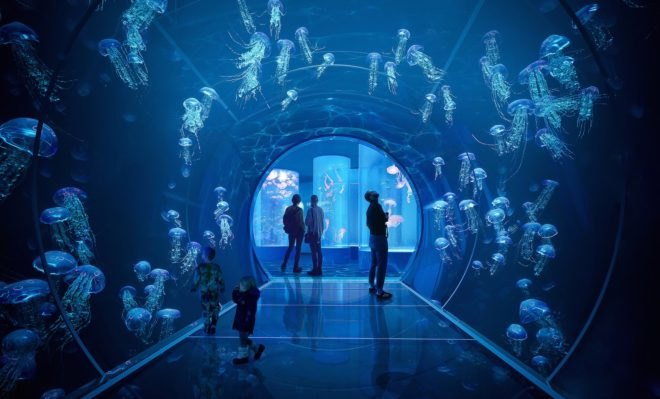 Jellyfish tunnel Poseidon’s Realm by 3XN and GERNER GERNER PLUS