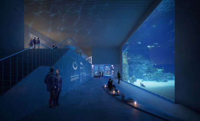 Shark tank Poseidon’s Realm by 3XN and GERNER GERNER PLUS