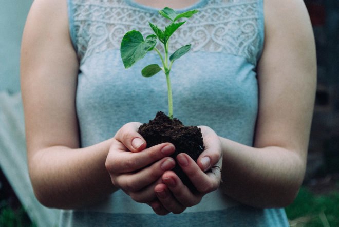 Woman holding a small plant with root system and dirt