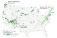 NASA Earth Observatory, map, United States, spring, national parks, first leaf