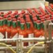 Tabasco, hot sauce, Tabasco factory, Tabasco bottle