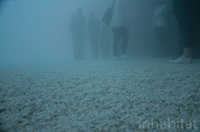 Close-up image of the floor of the dome.
