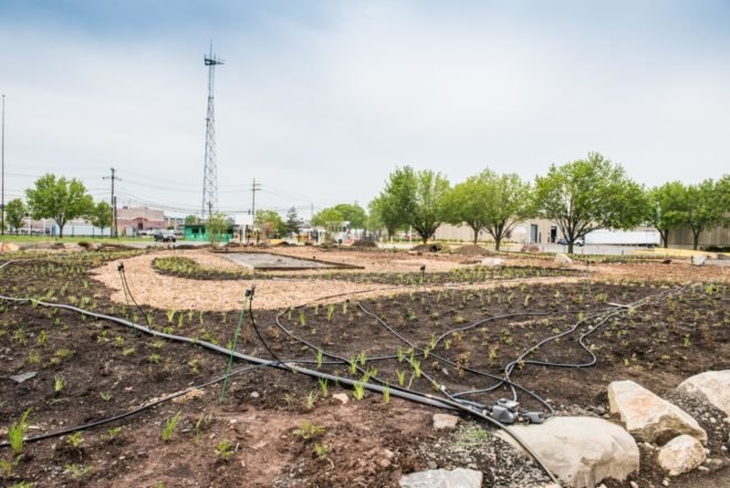 An urban farm with a radio tower in the background
