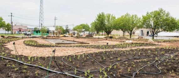 An urban farm with a radio tower in the background