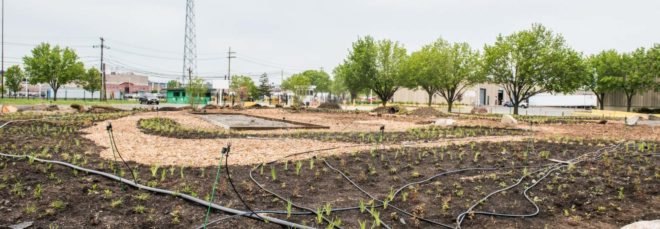 An urban farm with a radio tower in the background