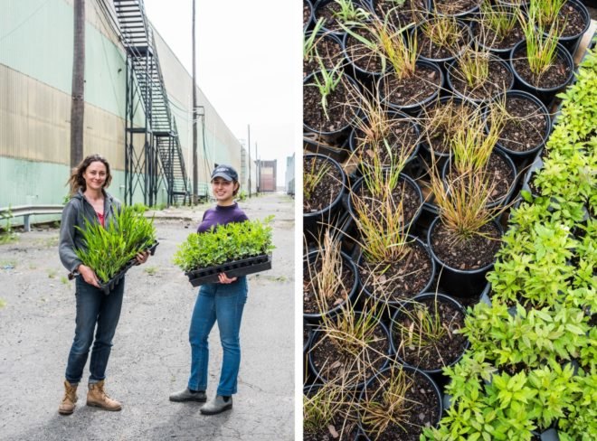 Dual image of two women holding planters and small plants growing out of soil