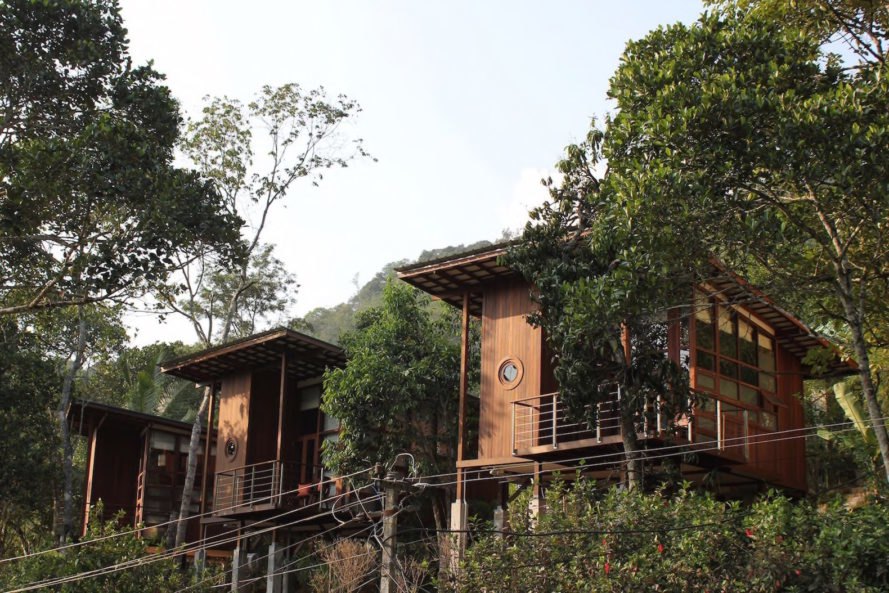 Exterior view of the wood cabins