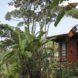 Outside view of cabin surrounded by lush greenery
