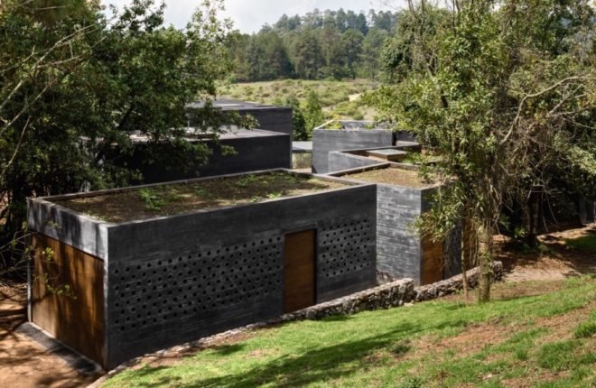 Green roofs on the buildings