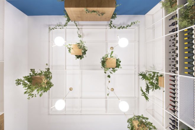 hanging plants Cento61 by Studio DiDeA