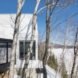 A white painted house viewed through trees in winter