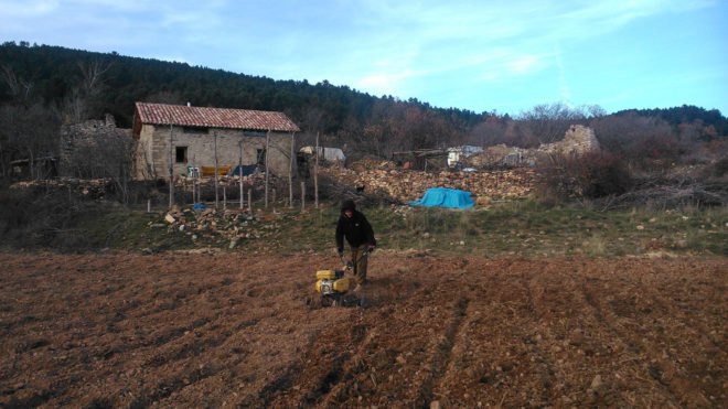 a man tilling a garden plot