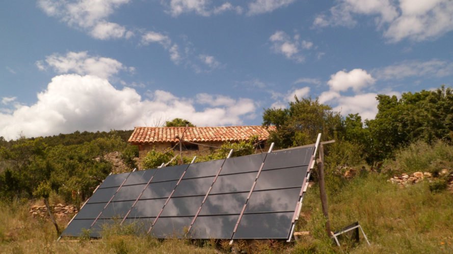 solar panels surrounded by greenery