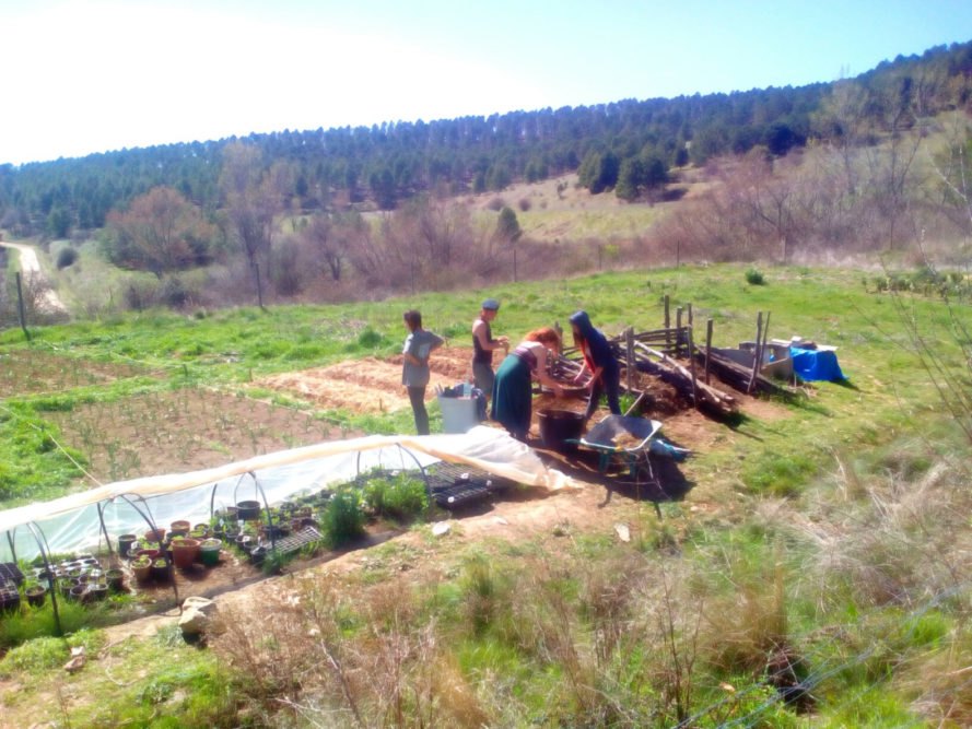 people working on an outdoor garden