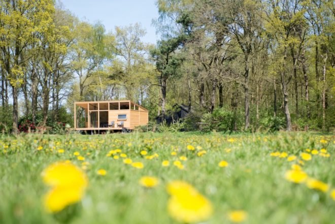 wooden cabin in field of wild flowers
