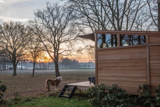a pony outside of a cabin with trees in the background
