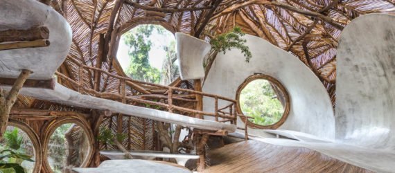 A curving interior space covered in branches and vines