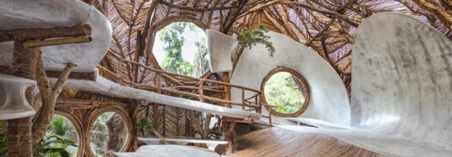 A curving interior space covered in branches and vines