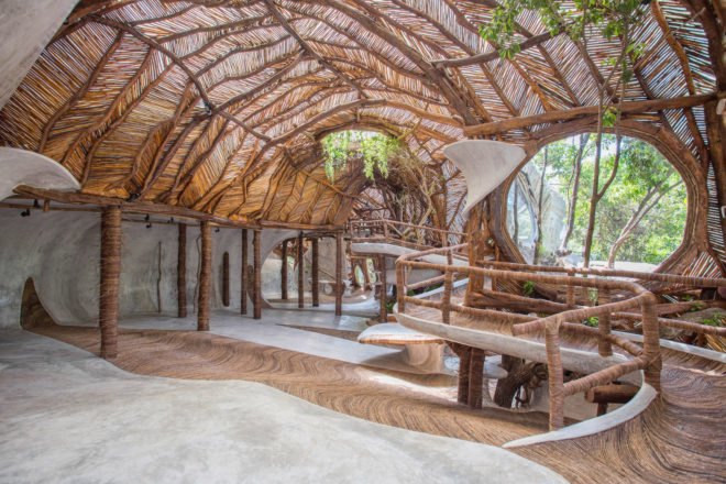 A curving interior space covered in branches and vines