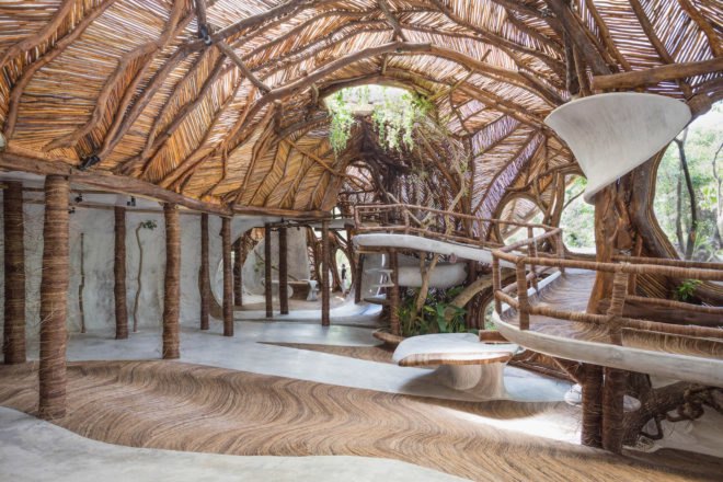 A curving interior space covered in branches and vines